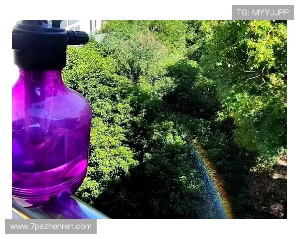 探索白光彩虹的科学原理与美丽现象